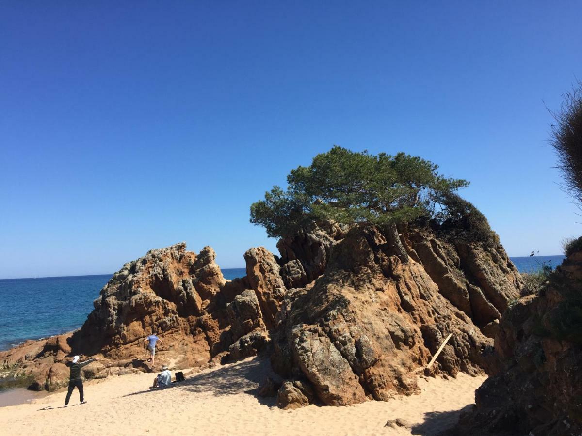 Apartamentos Jardin Turquesa Lloret de Mar Ngoại thất bức ảnh